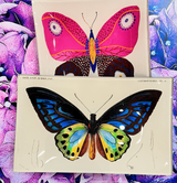 Decoupage Tray Tropical Butterfly No. 6
