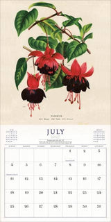 The World of John Derian Wall Calendar 2027
