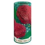 Rose Matches