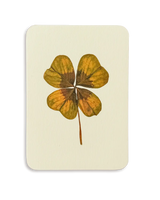 Four Leaf Clover Greeting Card | Birthday Card