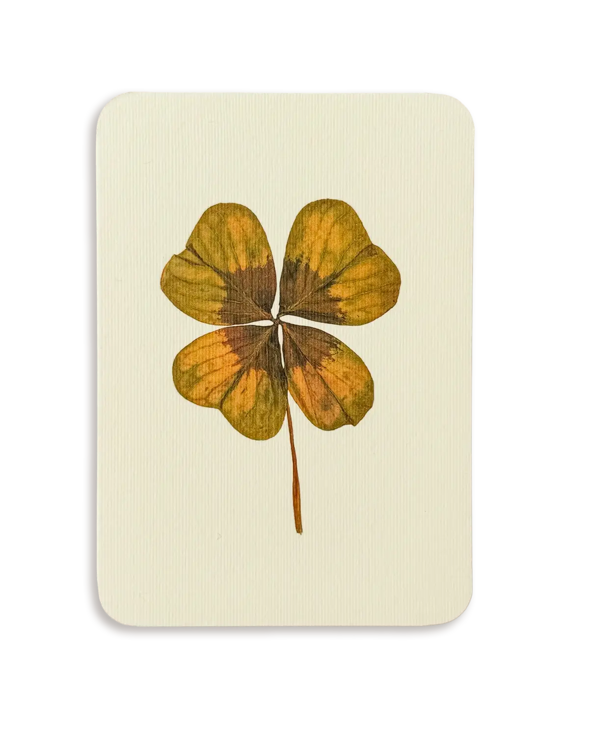 Four Leaf Clover Greeting Card | Birthday Card