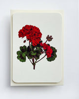 Geranium Greeting Card | Birthday Card | Luxury Cards