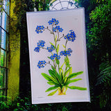 Decoupage Tray Forget Me Nots