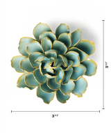 Robin's Egg Blue Marigold
