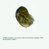 Body Wash Nº Green