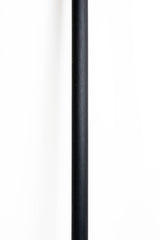 Broom Ambrosia