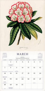 The World of John Derian Wall Calendar 2027