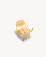 Mini Hair Clip Sea Shell Checker