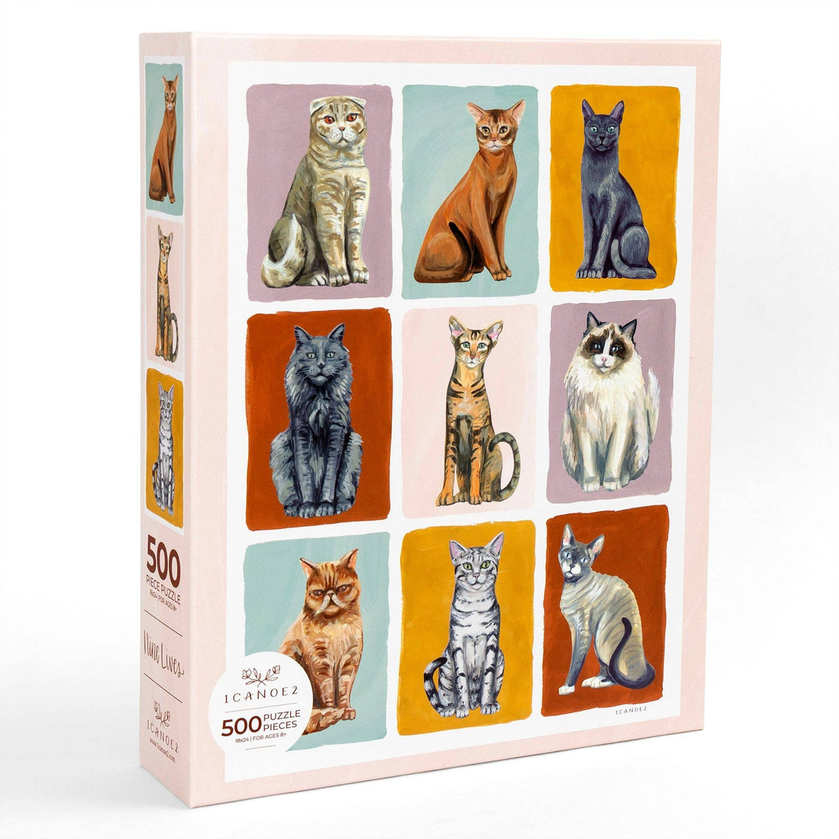 Puzzle Nine Lives