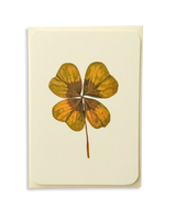 Four Leaf Clover Greeting Card | Birthday Card
