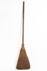 Broom Ambrosia