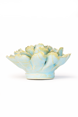 Robin's Egg Blue Marigold