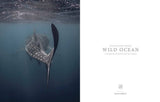 Wild Ocean: A Journey to the Earth's Last Wild Coasts: Hardcover
