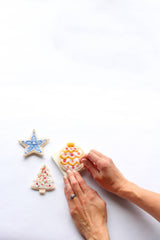 Felting Kit Mini Sugar Cookie