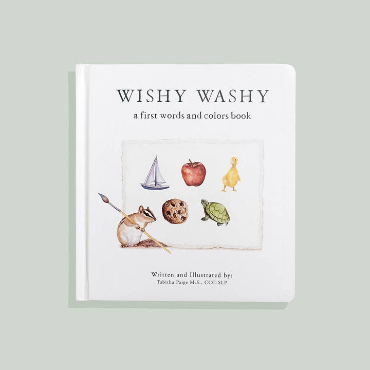 Wishy Washy Board Book of First Words and Colors