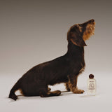 Après Oil Coat Oil For Dogs