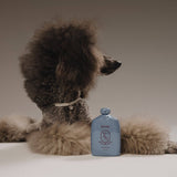 Cloud Cleanser Gentle Shampoo For Dogs