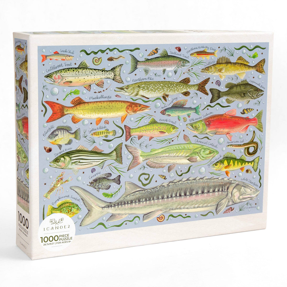 Puzzle Freshwater Fish