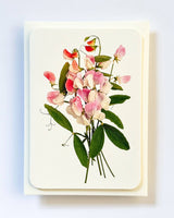 Pink Sweet Peas Greeting Card | Birthday Card | Luxury Cards