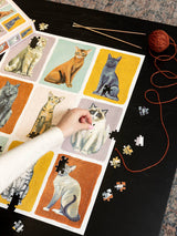 Puzzle Nine Lives