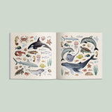 Our Big Book of Stickers 500
