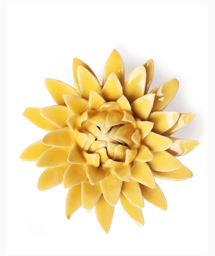 Yellow Stargazer