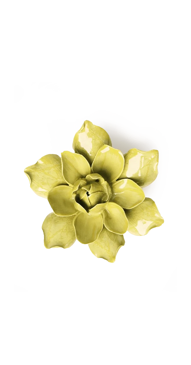 Chartreuse Columbine