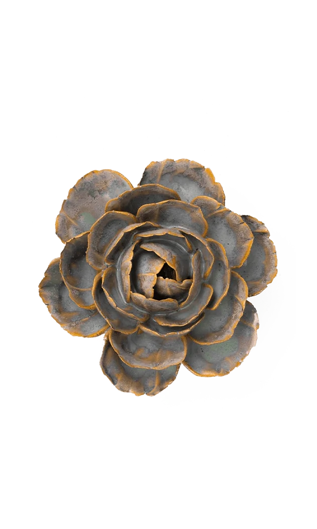 Pastel Blue Rose