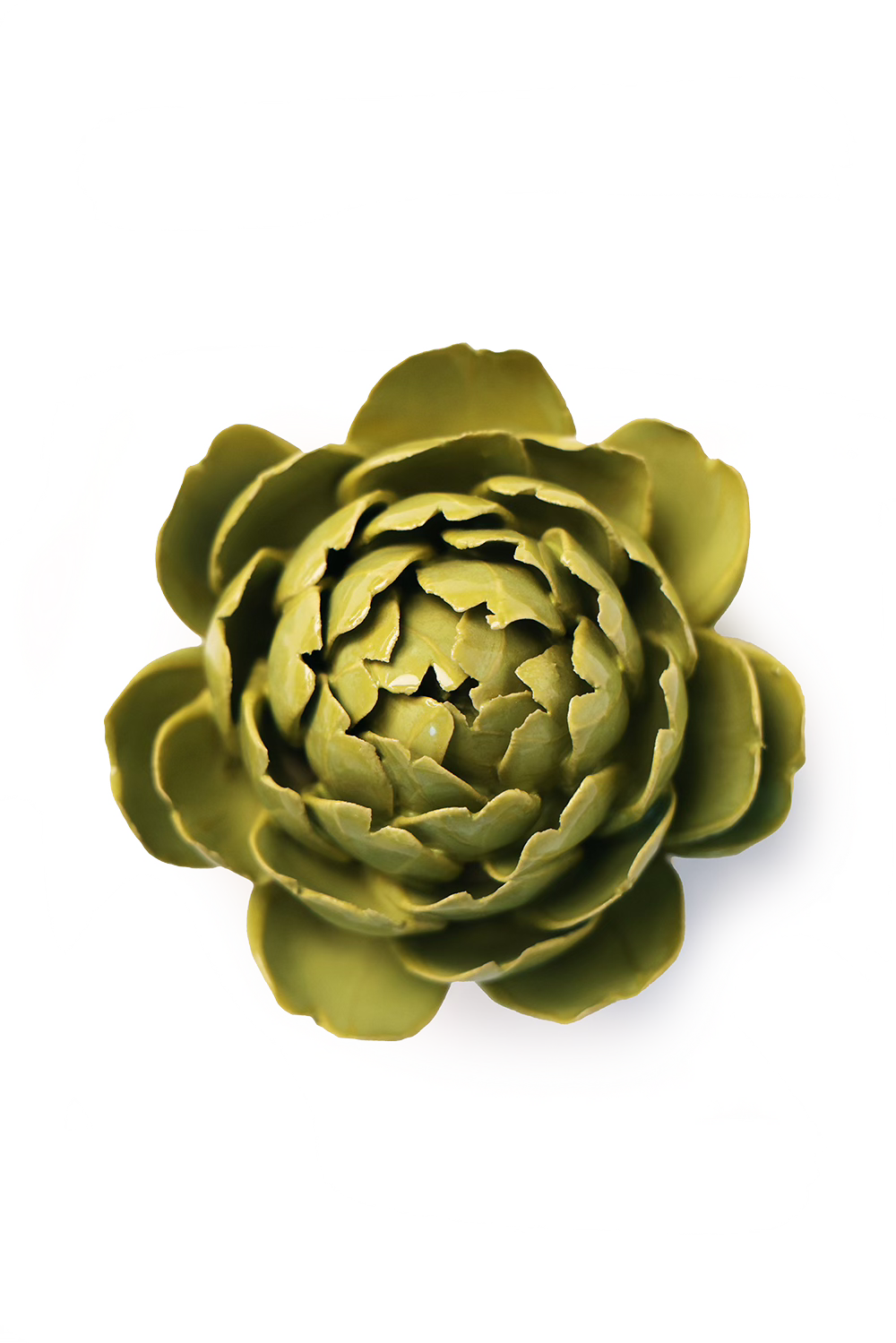 Chartreuse Queen Protea