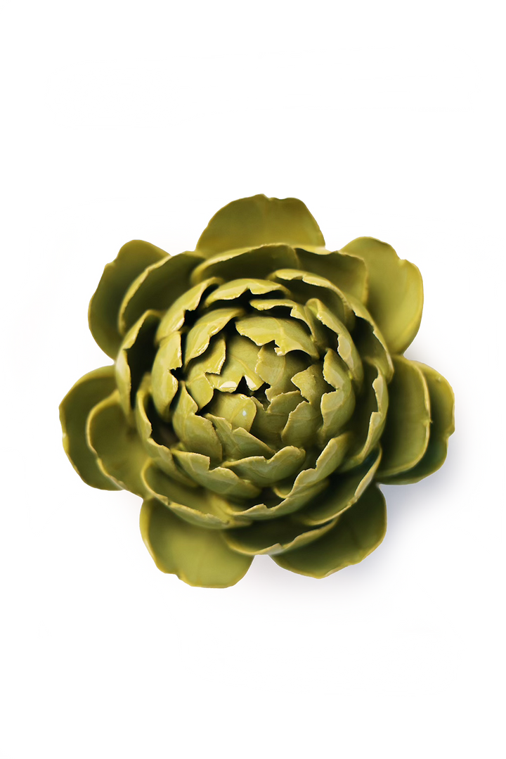 Chartreuse Queen Protea