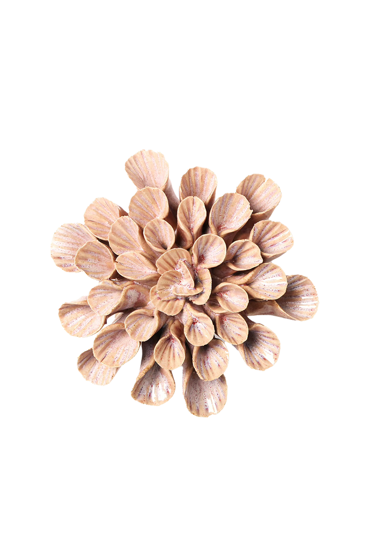 Pink Sand Great Star