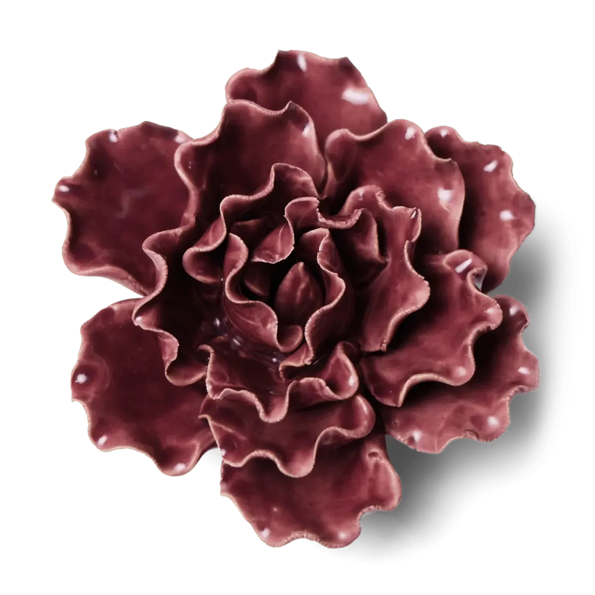 Purple Lettuce