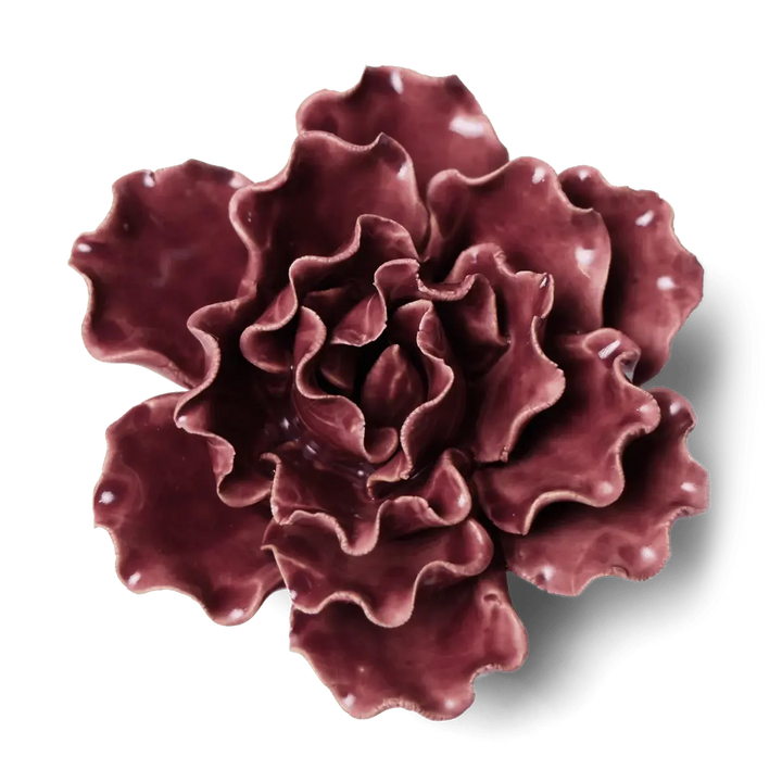 Purple Lettuce