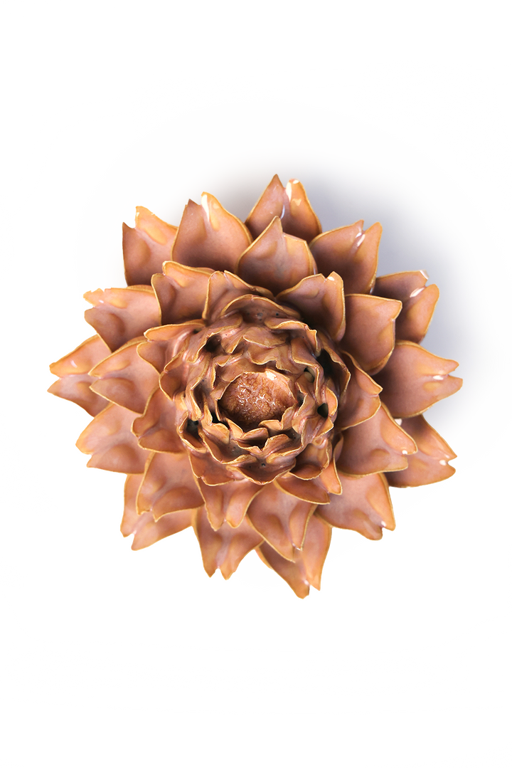 Rose Pink Protea