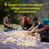 Diaspora Pahadi Pink Garlic