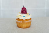 Beeswax Candles Pink Blackberries Set of 10