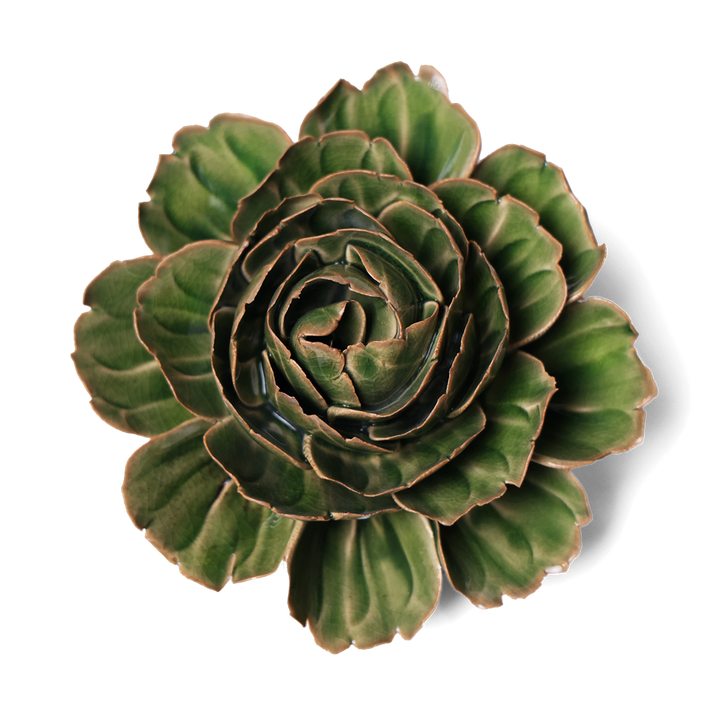 Green Avocado Peony