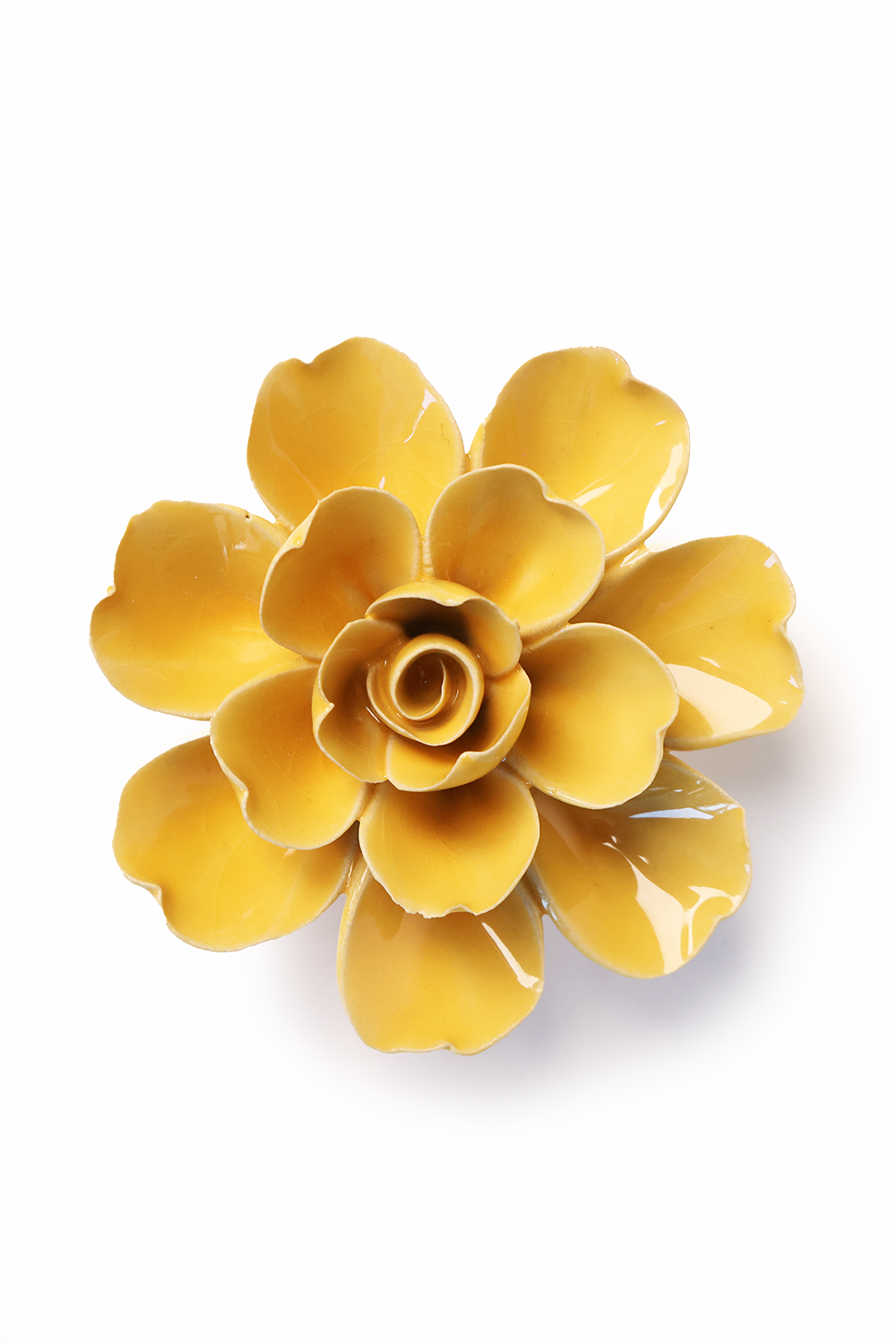 Burnt Yellow Tahitian Gardenia