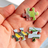 Puzzle Freshwater Fish