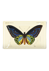 Decoupage Tray Tropical Butterfly No. 6