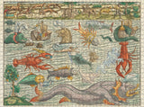 Puzzle Sebastian Münster: Sea Monsters 1000 Pieces