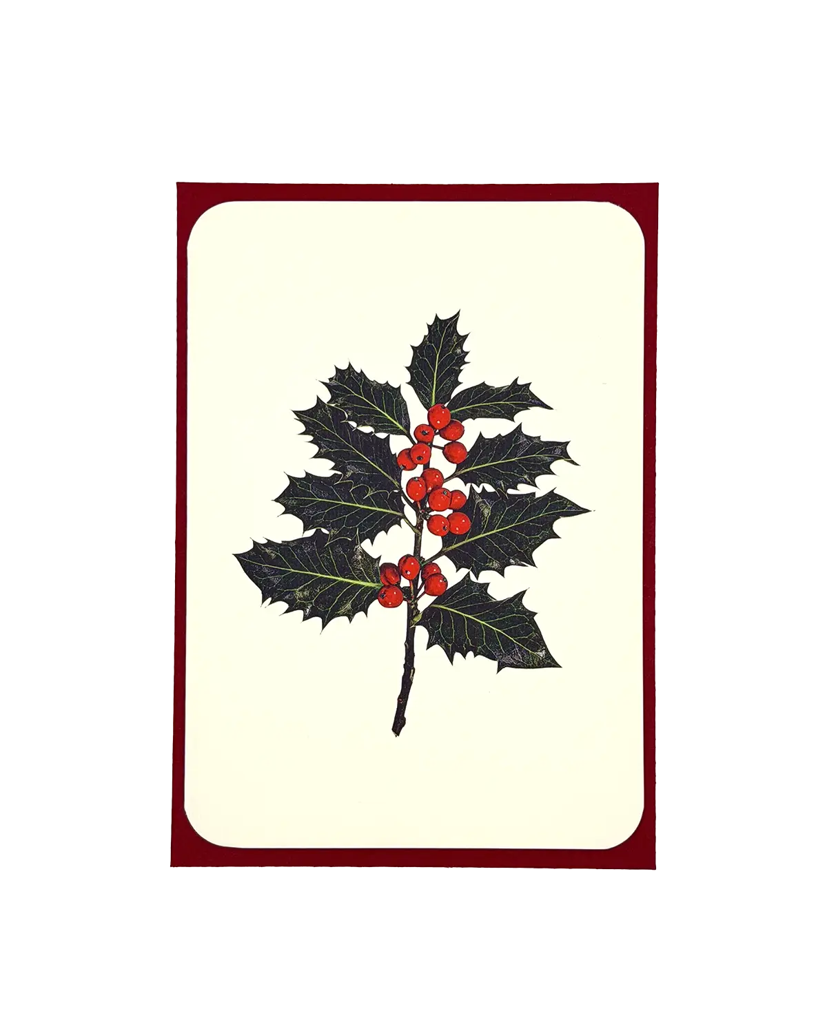 Christmas Holly Christmas Greeting Card | Christmas Card