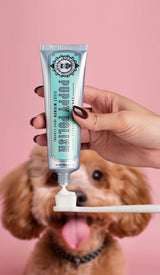 Puppy Polish Toothpaste Filet Mignon