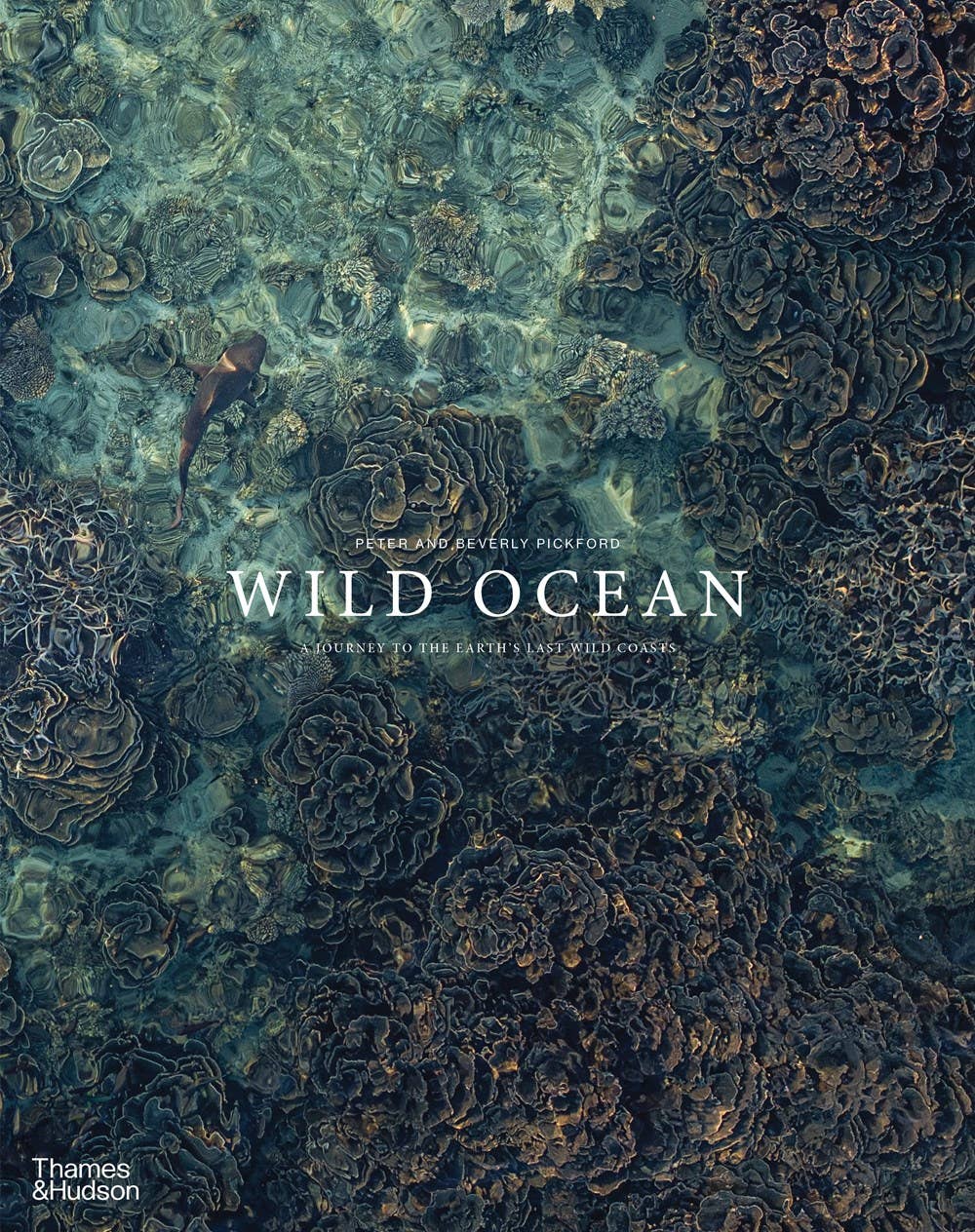 Wild Ocean: A Journey to the Earth's Last Wild Coasts: Hardcover