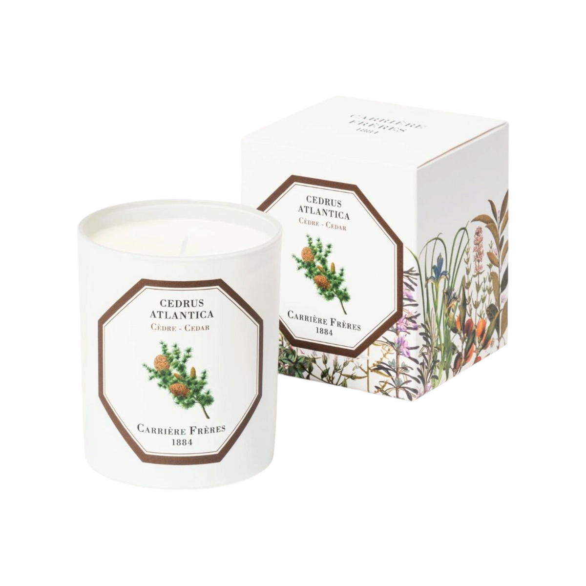 The Tiny Finch Cedrus Atlantica cedar scented candle in a white glass jar with botanical label and matching box