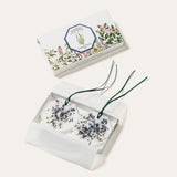 Scented Botanical Palet Lavender