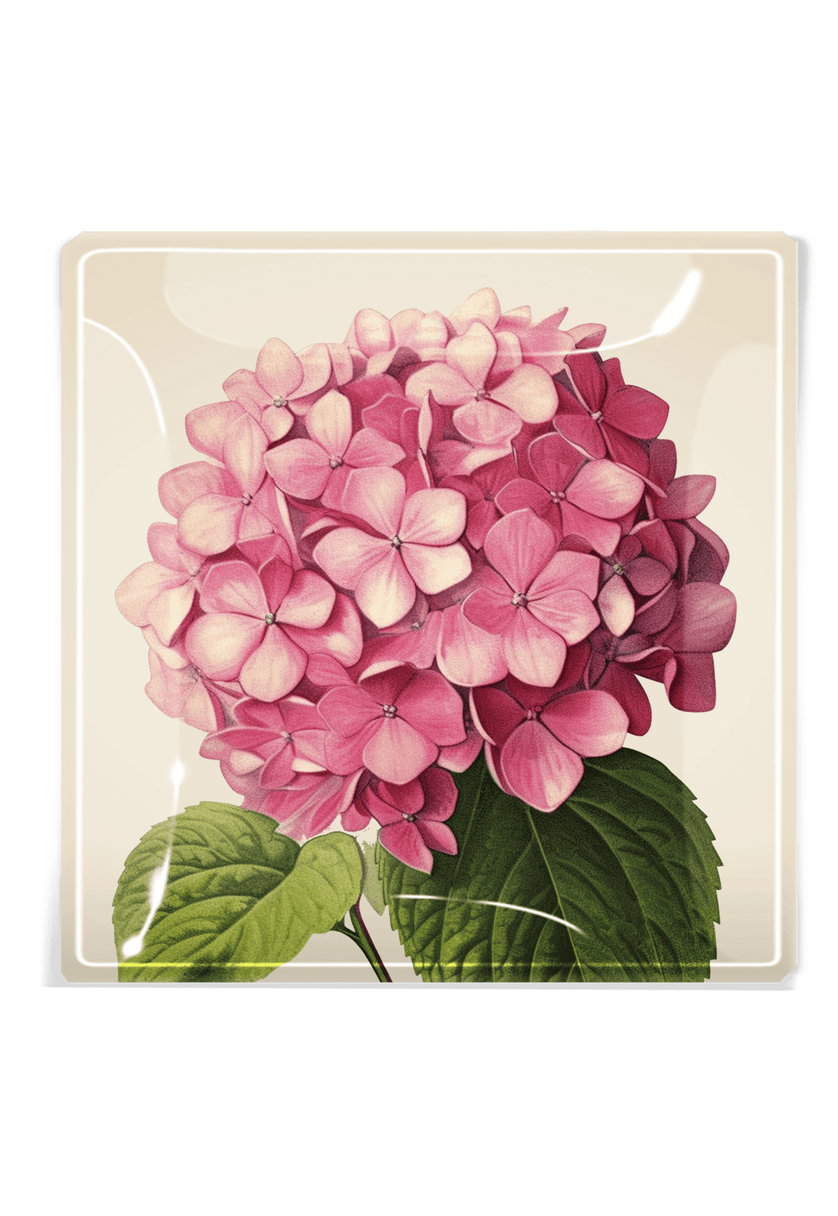 Decoupage Tray Pink Hydrangea