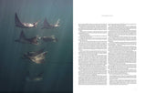 Wild Ocean: A Journey to the Earth's Last Wild Coasts: Hardcover