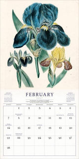 The World of John Derian Wall Calendar 2027