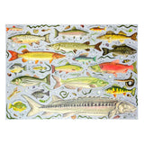 Puzzle Freshwater Fish